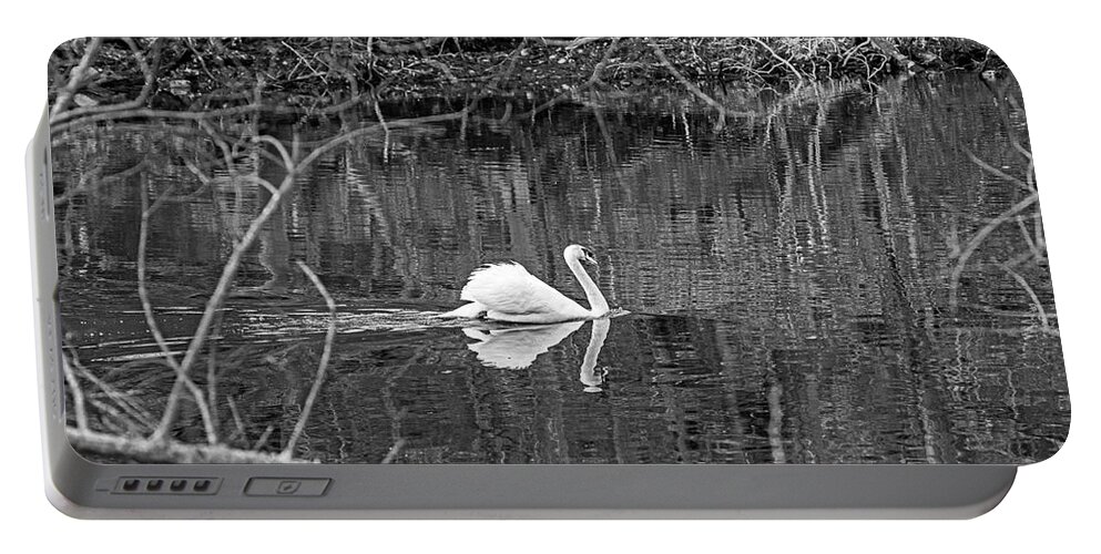 Plymouth Portable Battery Charger featuring the photograph Swan swimming in Jenny Pond in Plymouth Massachusetts Black and Whtie by Toby McGuire