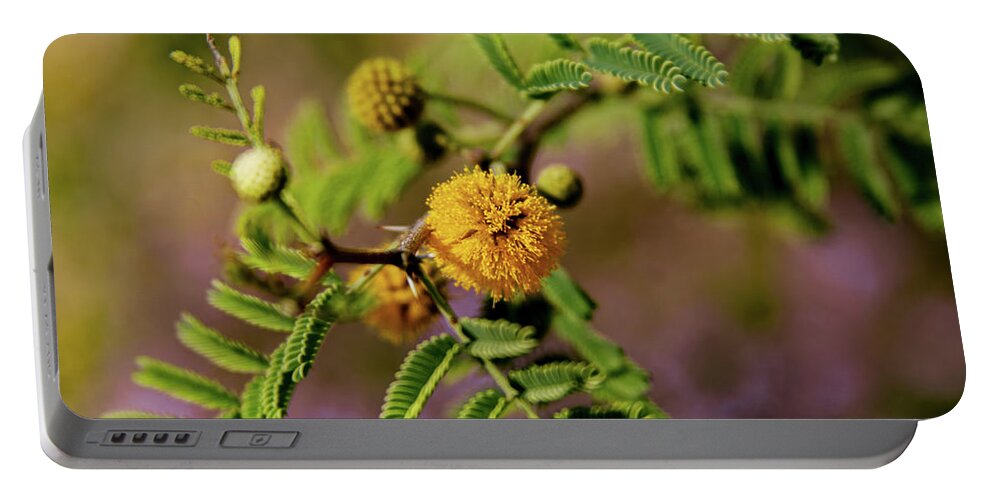 Acacia Portable Battery Charger featuring the photograph Sweet Acacia in Bloom by Bonny Puckett
