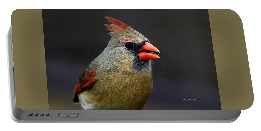Female Cardinal Portable Battery Charger featuring the photograph Sweet Cardinal by Mary Walchuck