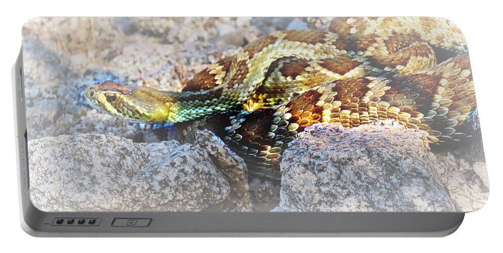 Affordable Portable Battery Charger featuring the photograph Sweet Honey in the Rock by Judy Kennedy