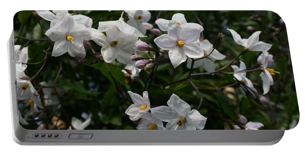  Portable Battery Charger featuring the photograph Sweet Jasmine by Cynthia Marcopulos