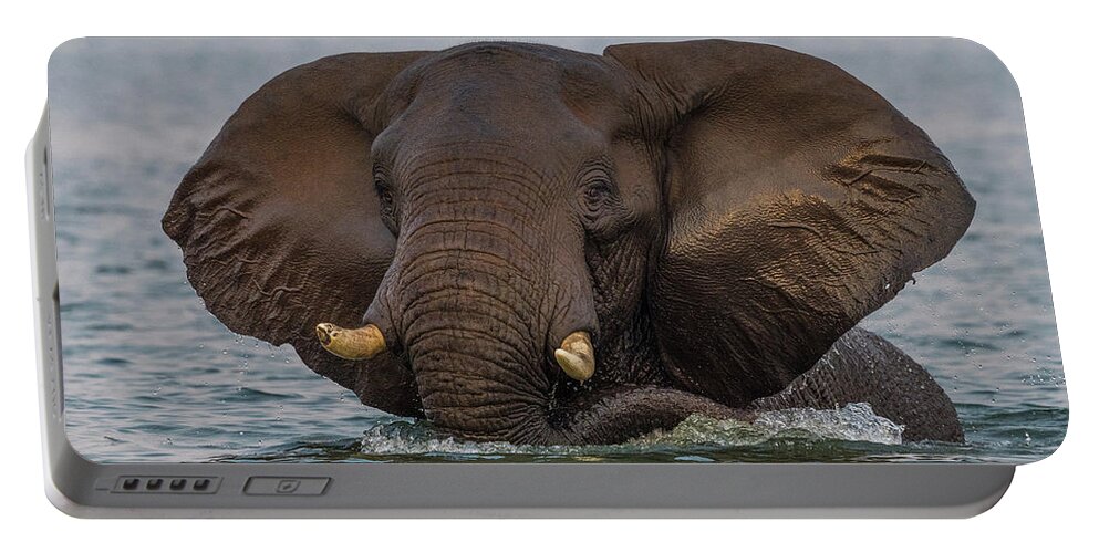 Africa Portable Battery Charger featuring the photograph Swimming Elephant by Bill Cubitt