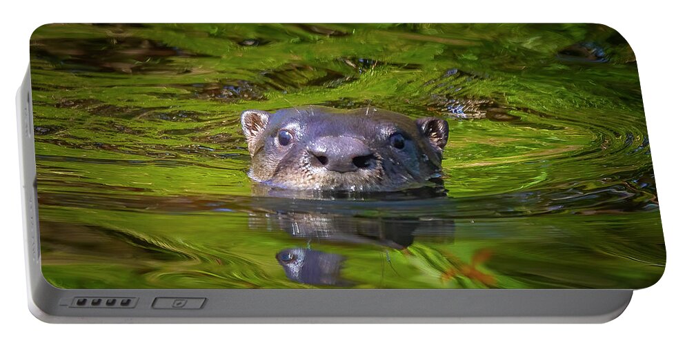 Otter Portable Battery Charger featuring the photograph Swimming River Otter by Mark Andrew Thomas