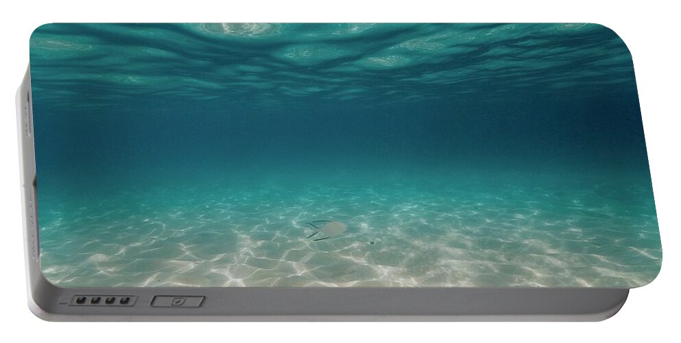 Grand Anse Beach Portable Battery Charger featuring the photograph Swimming Solo by Laura Forde