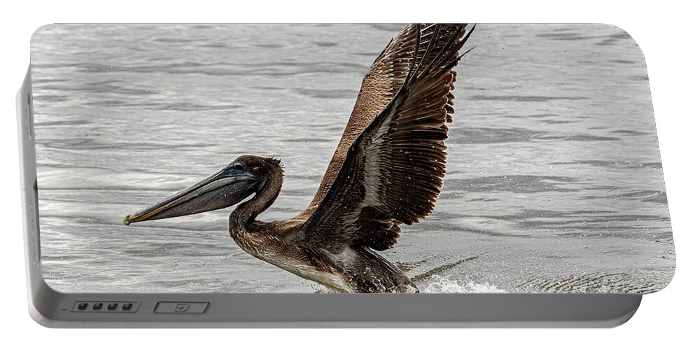 Brown Pelican Portable Battery Charger featuring the photograph Take Off 2 by Jerry Connally