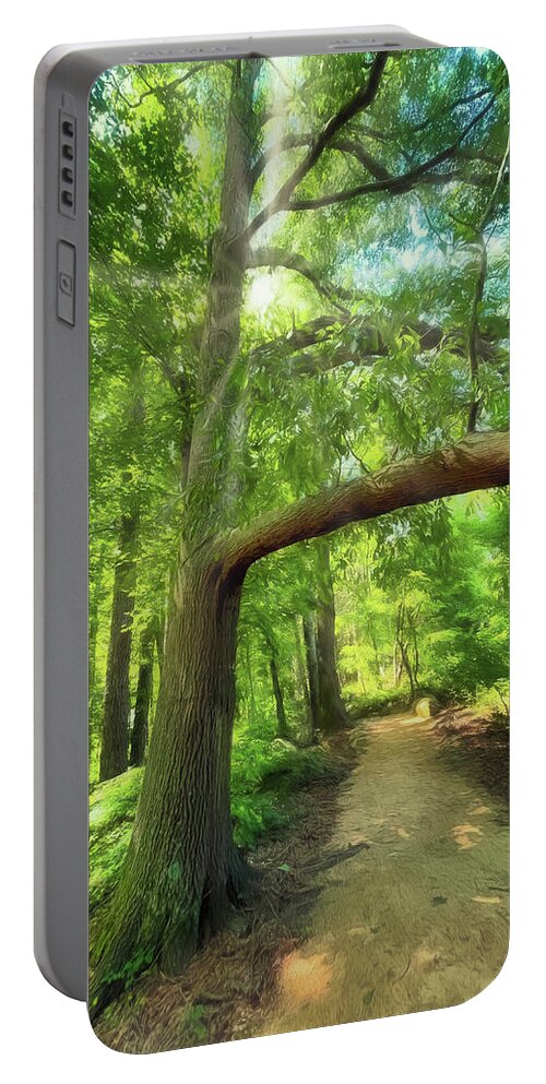Narrow Path Portable Battery Charger featuring the photograph Take the Narrow Path by Michael Frank