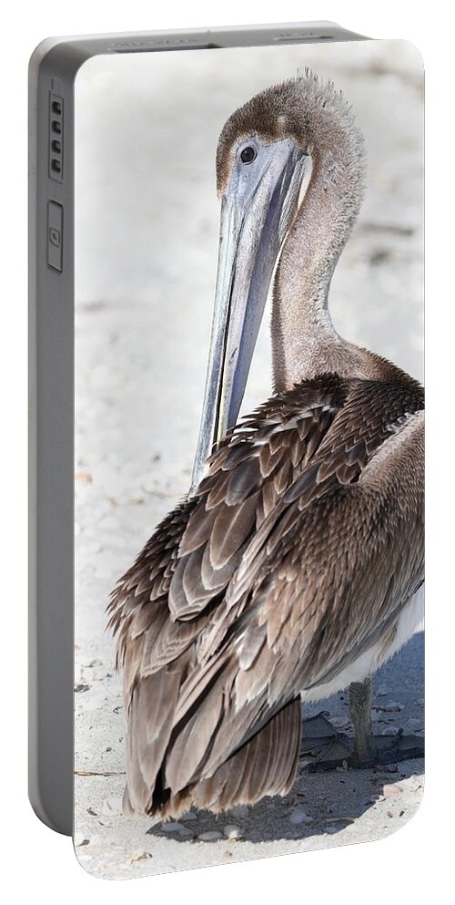 Pelicans Portable Battery Charger featuring the photograph Close Up of Pelican by Mingming Jiang