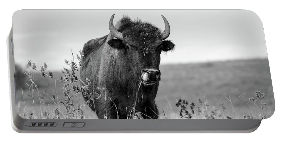Oklahoma Portable Battery Charger featuring the photograph Talent Show - Buffalo on Tallgrass Prairie in Oklahoma by Southern Plains Photography