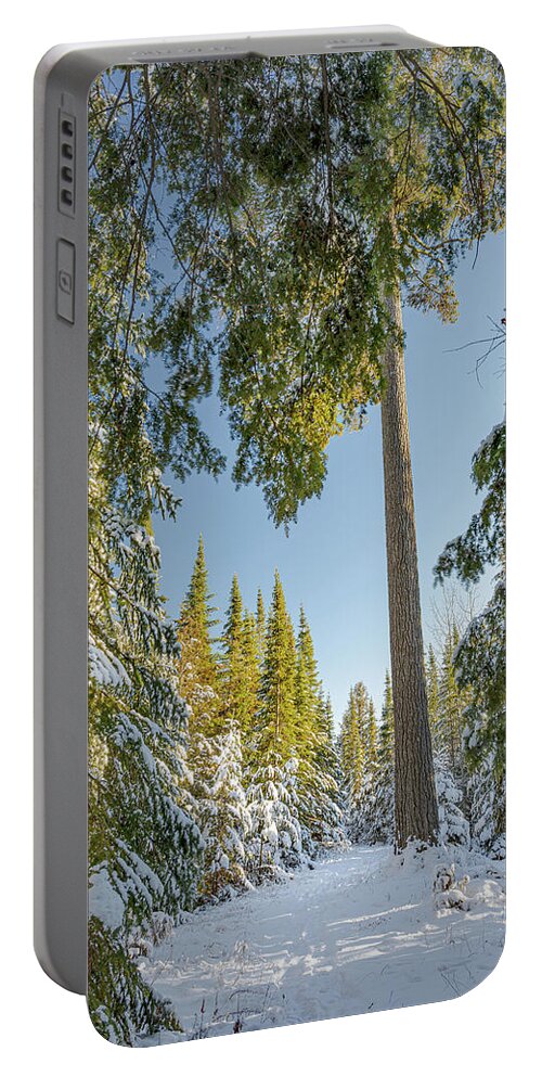 #winter #landscape #photograph #fine Art #door County #wisconsin #midwest #wall Décor #wall Art #hiking #walking #long Exposure #focus Stacking #hdr Photography #adventure #outside #environment #outdoor Lover #snow #ice #cold #snowshoeing # Cross Country Skiing   Portable Battery Charger featuring the photograph Tall by David Heilman