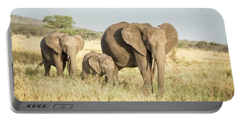  Africa Portable Battery Charger featuring the photograph Tanzania Elephant Family by Timothy Hacker