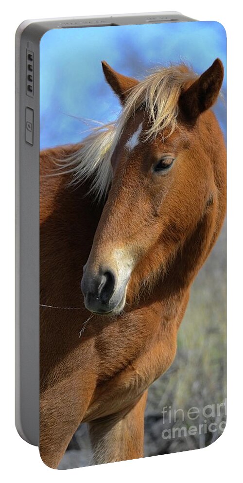 Salt River Wild Horse Portable Battery Charger featuring the digital art Tasty by Tammy Keyes