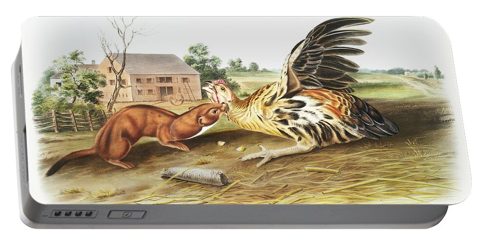 American Portable Battery Charger featuring the mixed media Tawny Weasel. John Woodhouse Audubon Illustration by World Art Collective