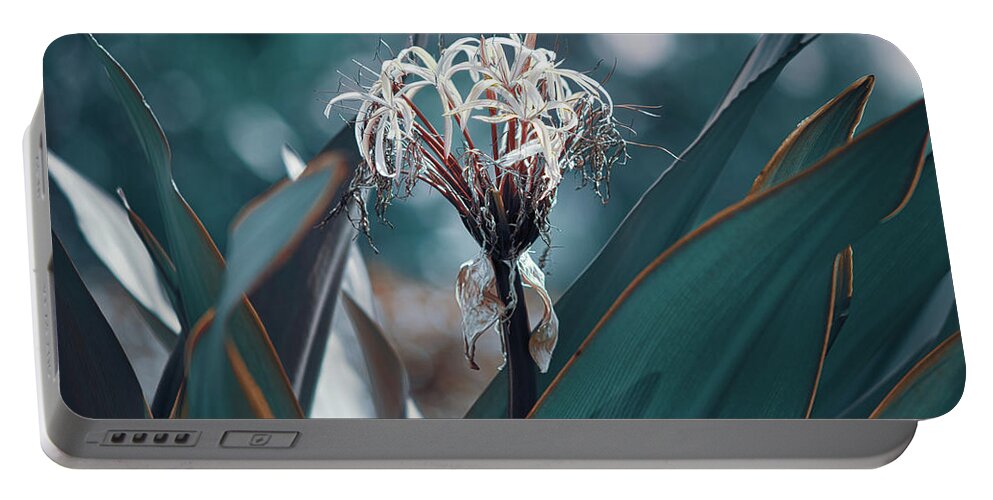 Lycoris Radiata Portable Battery Charger featuring the photograph Teal Spider Lily by Gian Smith