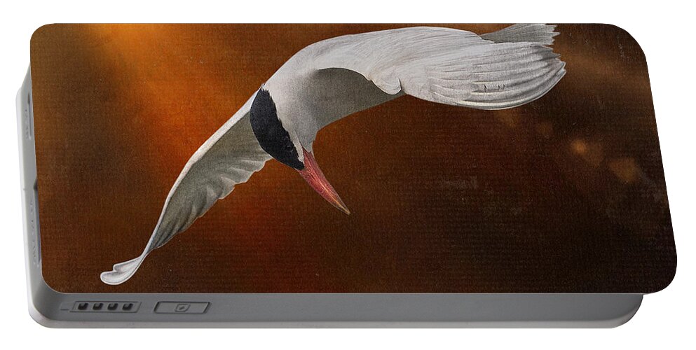 Caspian Tern Portable Battery Charger featuring the photograph Terned Into Art by Sandra Rust