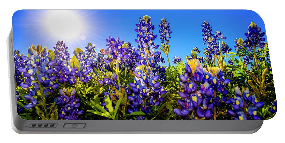 Texas Portable Battery Charger featuring the photograph Texas Bluebonnets Backlit II_01 by Greg Reed