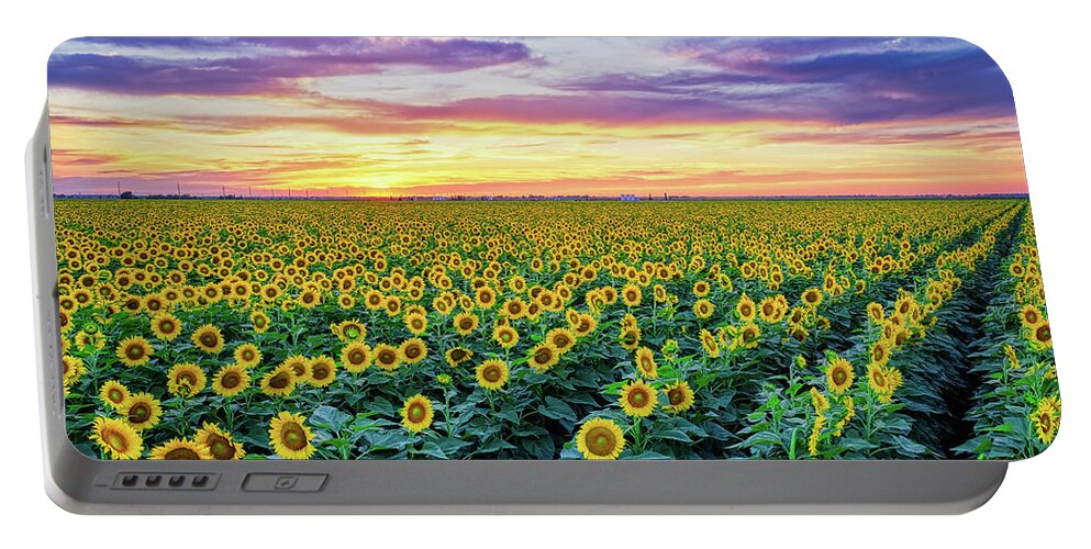 Sunflowers Portable Battery Charger featuring the photograph Texas Sunflower Field at Sunset Pano by Robert Bellomy