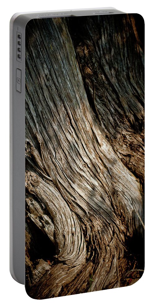 Tree Portable Battery Charger featuring the photograph Texture of Wood by Rich S