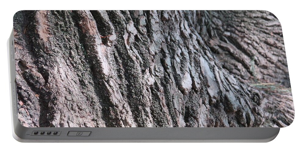  Portable Battery Charger featuring the photograph Texture - Tree Bark by Raymond Fernandez