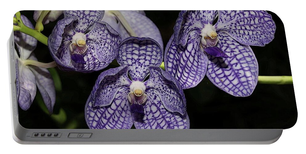 Orchid Portable Battery Charger featuring the photograph Textured Orchid Flowers 2 by Mingming Jiang
