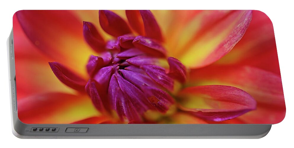 Flower Portable Battery Charger featuring the photograph The Amazing Beauty Of Nature by Scott Burd