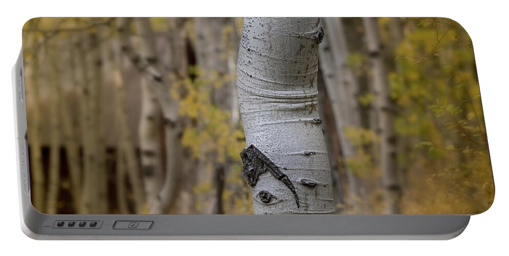 Aspen Portable Battery Charger featuring the photograph Cabin Series 2, Sorensens Resort by Alessandra RC