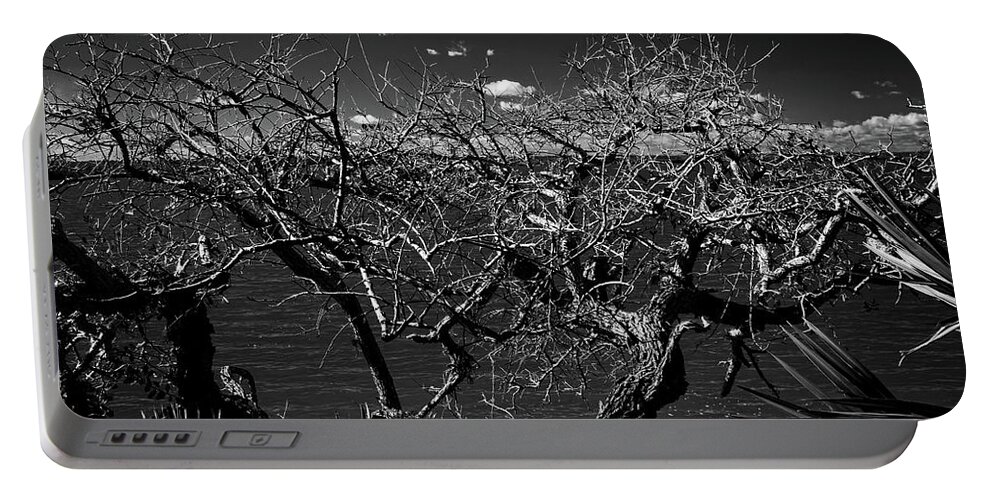Tree Portable Battery Charger featuring the photograph The Bare Tree by George Taylor