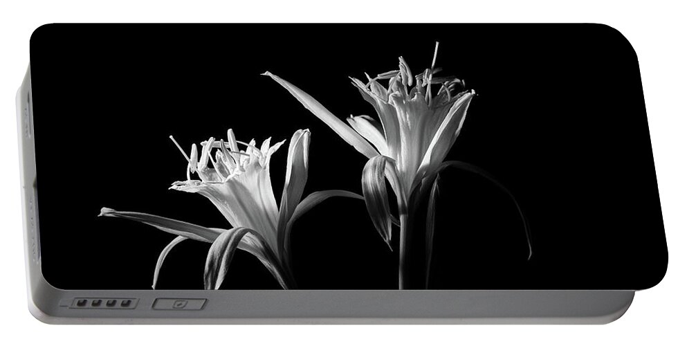 Flower Portable Battery Charger featuring the photograph The Beautiful by Stan Weyler