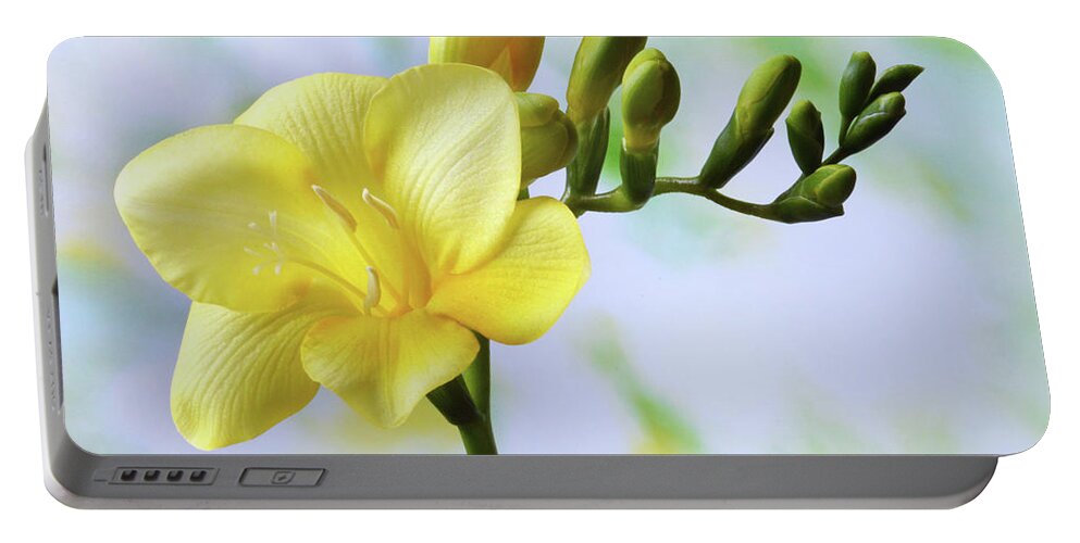 Freesia Portable Battery Charger featuring the photograph The Beauty Of Freesia by Terence Davis
