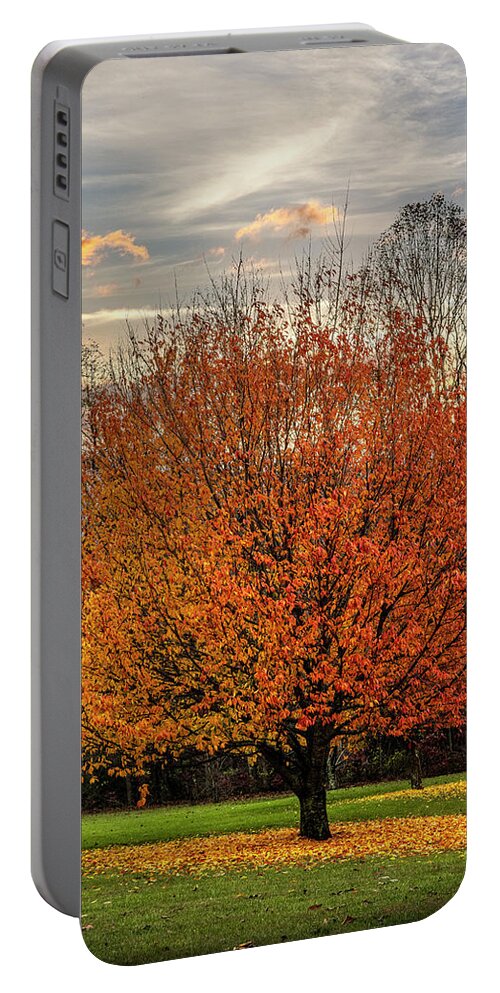 Andrews Portable Battery Charger featuring the photograph The Beauty of Maple Trees by Debra and Dave Vanderlaan