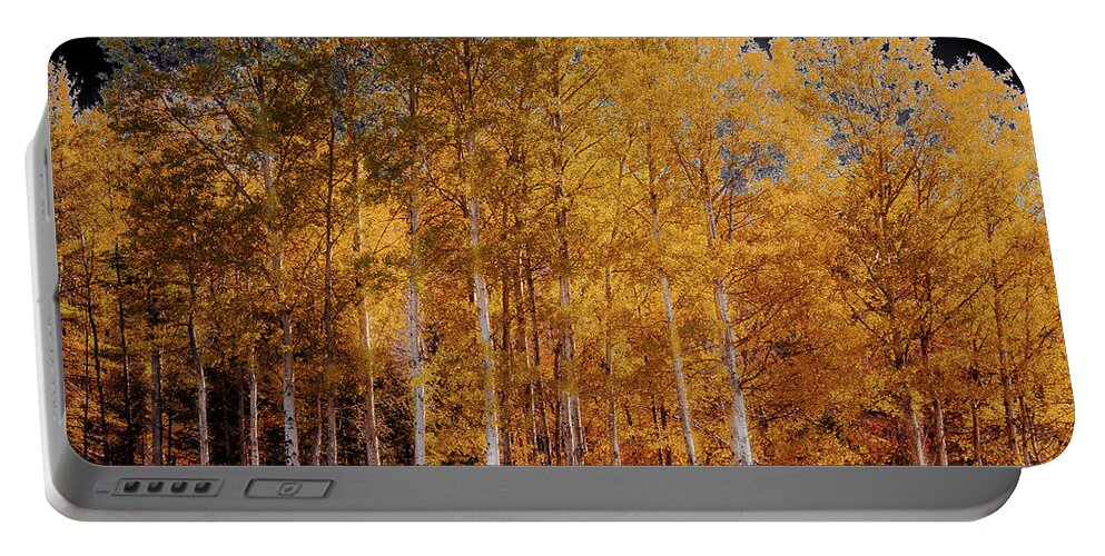 David Patterson Portable Battery Charger featuring the photograph The Birch Trees by David Patterson