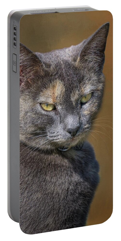 Cats Portable Battery Charger featuring the photograph The Boss - Cat by Nikolyn McDonald
