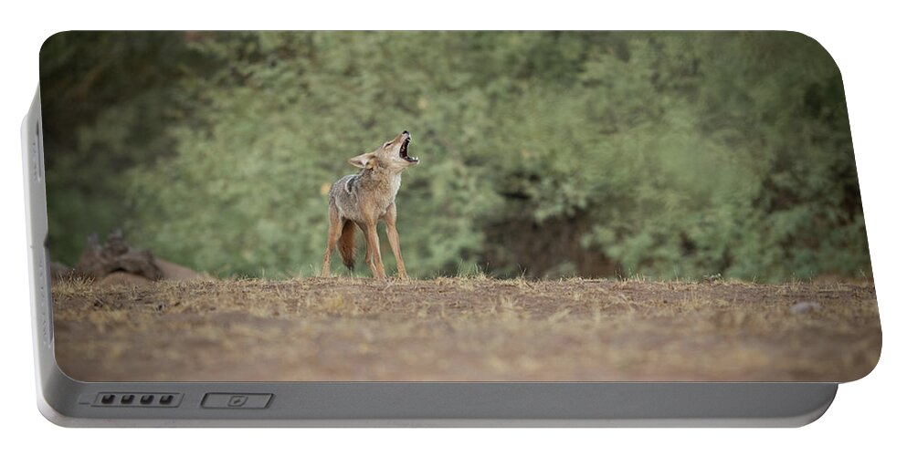 Wildlife Portable Battery Charger featuring the photograph The Call by Shannon Hastings