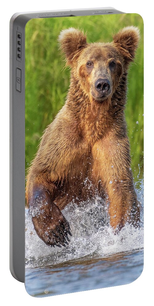 Alaska Portable Battery Charger featuring the photograph The Chase by Chad Dutson