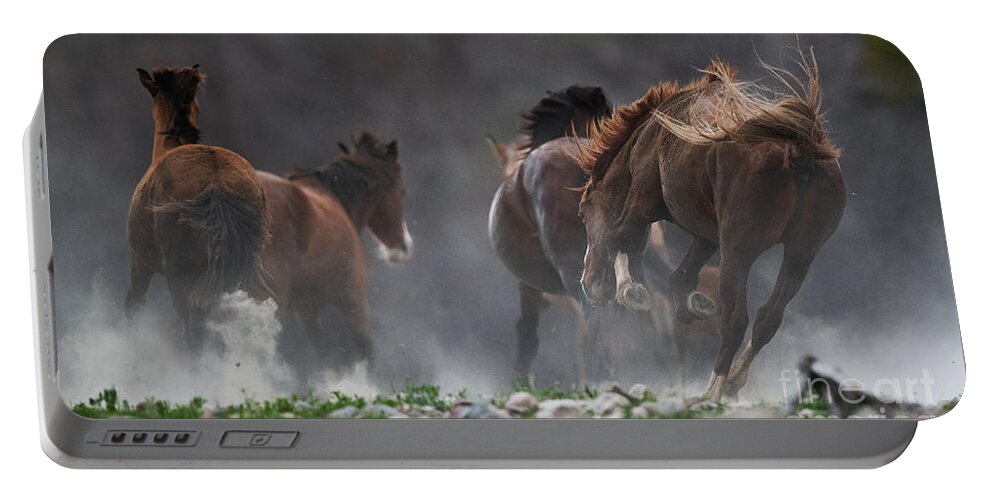 Stallion Portable Battery Charger featuring the photograph The Chase by Shannon Hastings