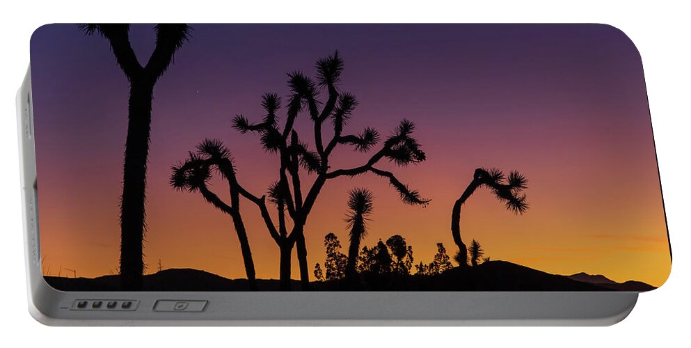 Joshua Tree Portable Battery Charger featuring the photograph The Dance by Stephen Sloan