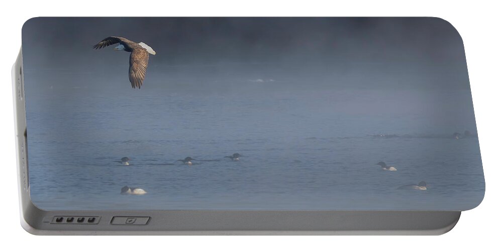 American Bald Eagle Portable Battery Charger featuring the photograph The Eagle and the Mergansers 2016 by Thomas Young