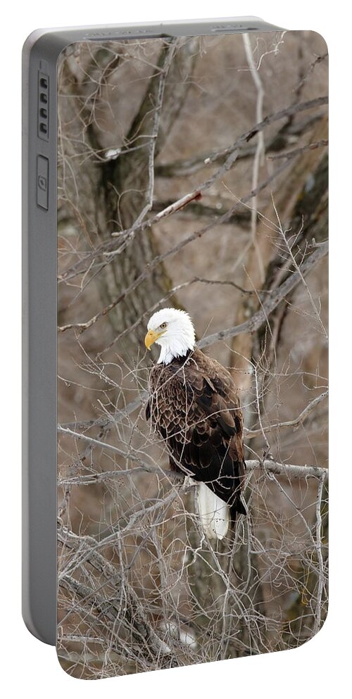 Bird Portable Battery Charger featuring the photograph The Eagle Has Landed by Lens Art Photography By Larry Trager