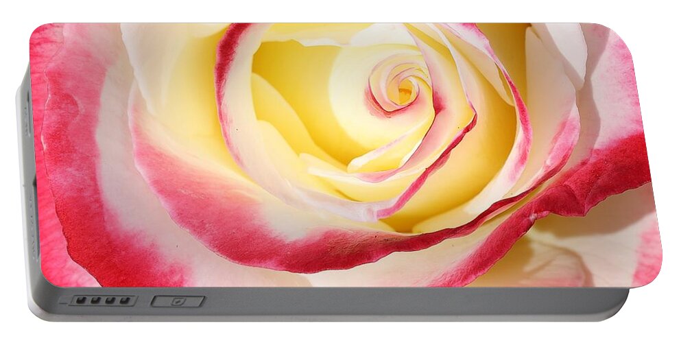 Roses Are Most Beloved And Symbolic Flowers. Love Portable Battery Charger featuring the photograph The Eye of Beauty by Mingming Jiang