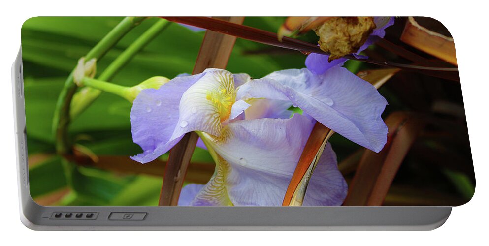 Flowers Portable Battery Charger featuring the photograph The Eye of the Iris by Marcus Jones