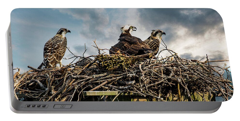 Ospreys Portable Battery Charger featuring the photograph The Family by Walt Baker