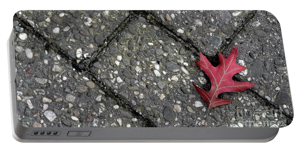Autumn Portable Battery Charger featuring the photograph The first of many by Daniel M Walsh