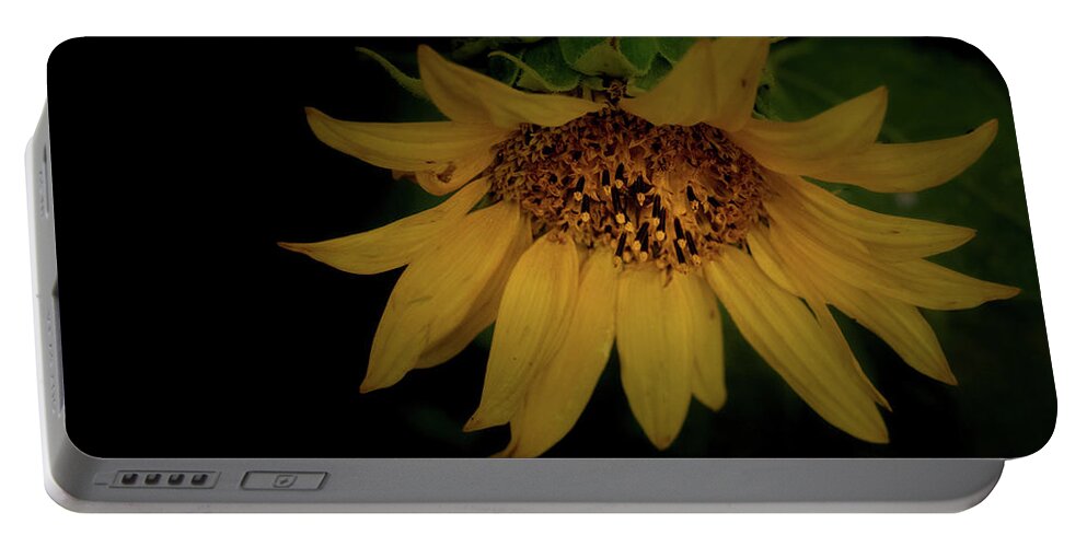 Flower Portable Battery Charger featuring the photograph The Flashy Wild Sunflower by Laura Putman