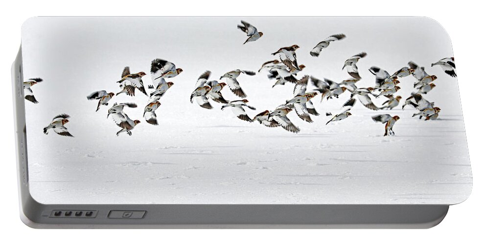 Snow Buntings Portable Battery Charger featuring the photograph The Flight Of The Snow Buntings by Debbie Oppermann