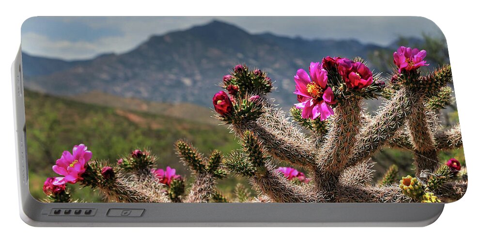 Fine Art Portable Battery Charger featuring the photograph While The Flowers Look On by Robert Harris