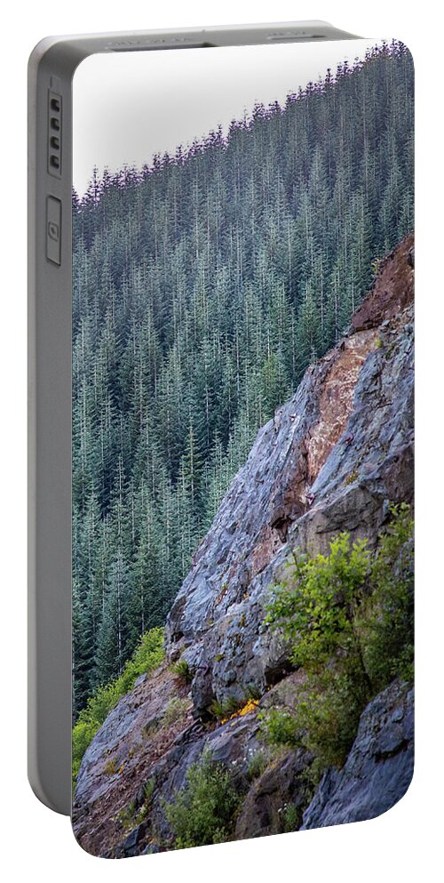 2019 Portable Battery Charger featuring the photograph The Fragile Forest by Gerri Bigler