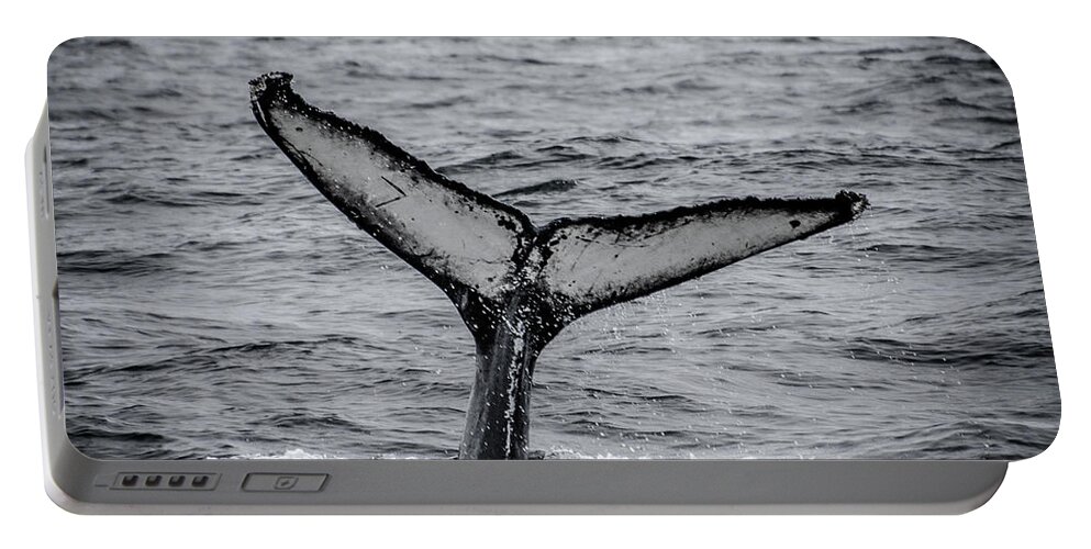 Humpback Whales Portable Battery Charger featuring the photograph The Full Fluke Humpback Whale by Roxy Hurtubise