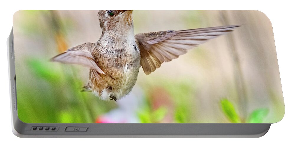 Humming Bird Portable Battery Charger featuring the photograph The Gift by Dan McGeorge