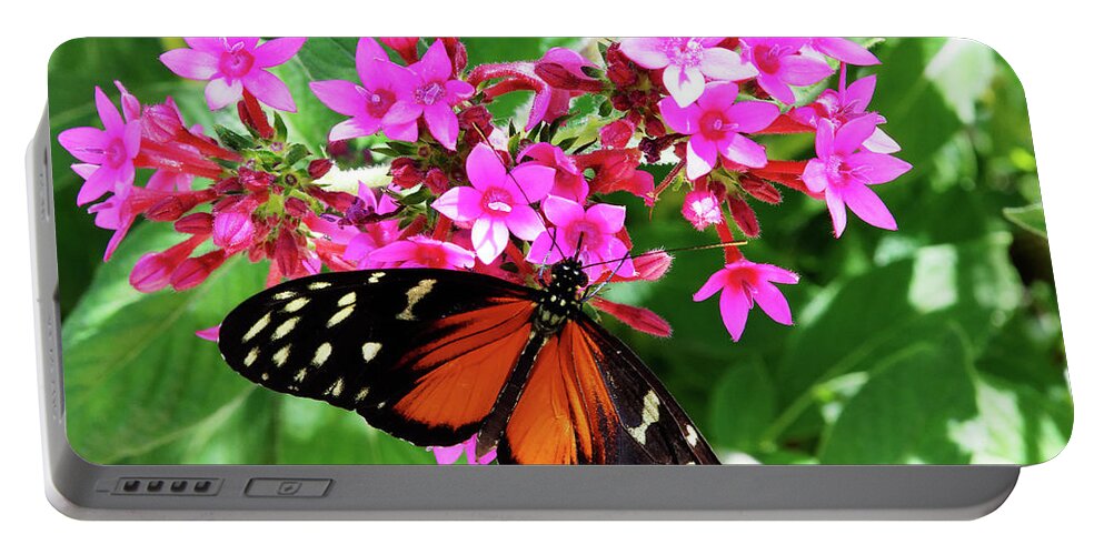 The Good Life Portable Battery Charger featuring the photograph The Good Life -- Golden Longwing Butterfly in Santa Barbara Museum of Natural History, California by Darin Volpe