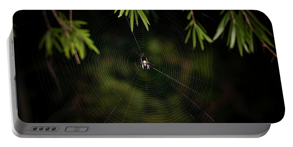 Spider Portable Battery Charger featuring the photograph The Great Garden Spider by Mark Andrew Thomas