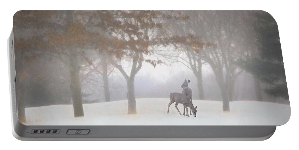 Winter Portable Battery Charger featuring the photograph The Hazy Shades of Winter by Mary Lynn Giacomini